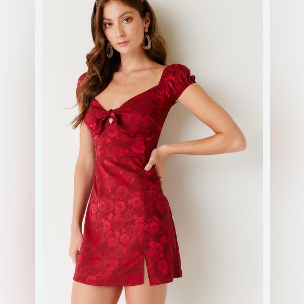 BLUE RAIN Francesca’s Ava Floral Red Jaquard Mini Dress, M